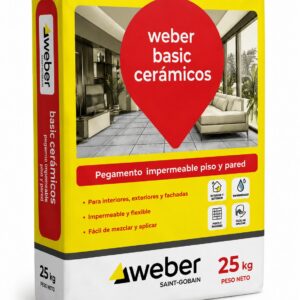 WEBER BASIC