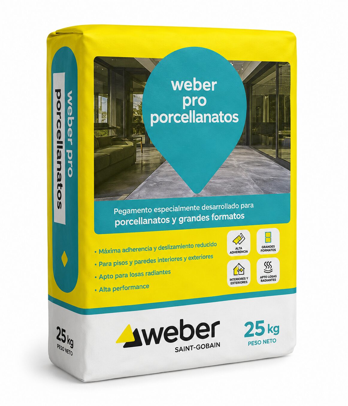 WEBER PRO PORCELLANATOS